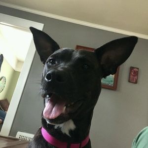 Meet your Posher, Mike